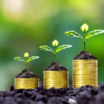 Top 10 Mutual Funds For Long Term Growth